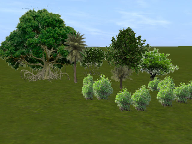 Tropical Trees in Trainz